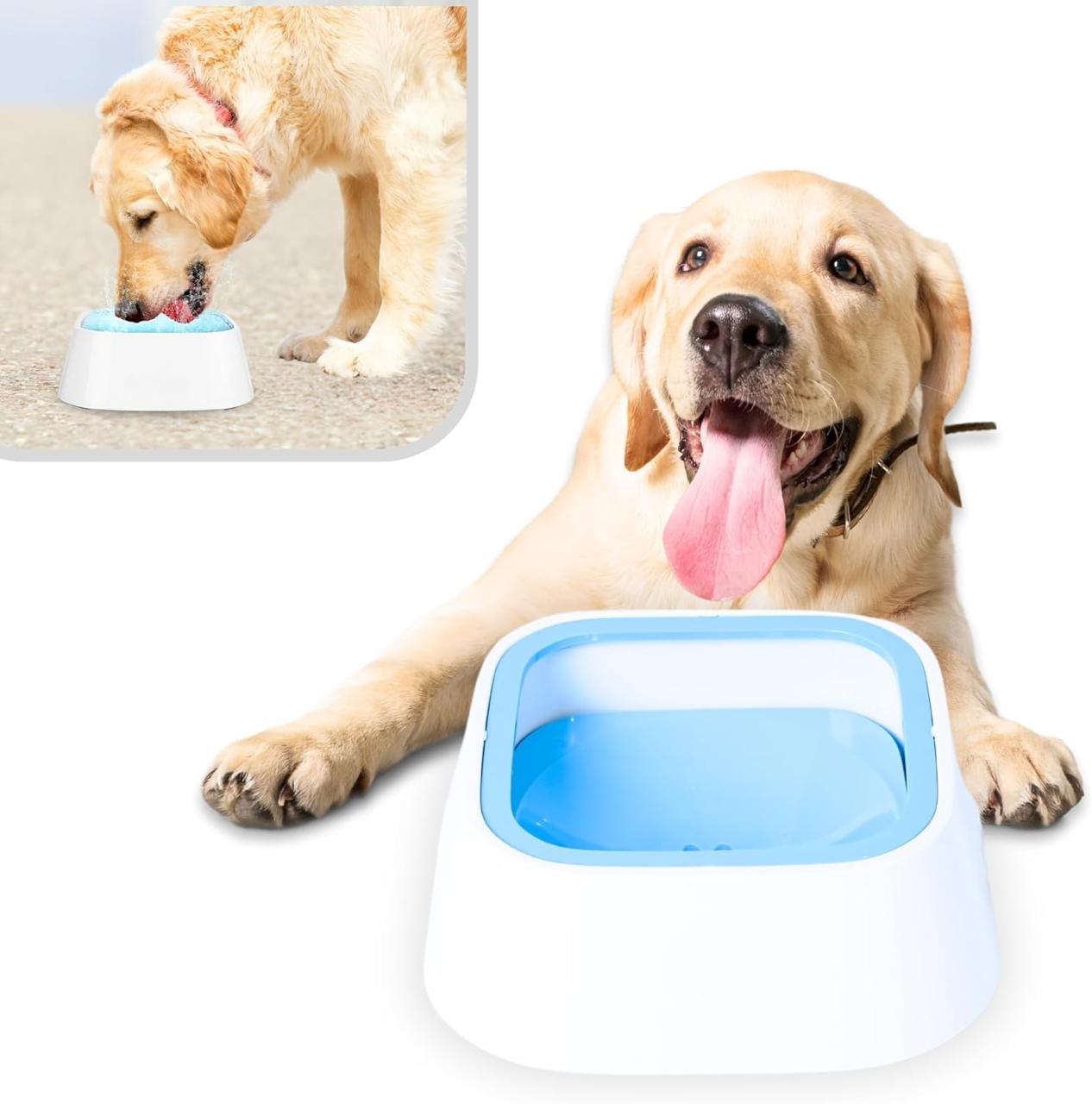Tazón antiderrames para perros: agua siempre fresca y sin desastres en casa